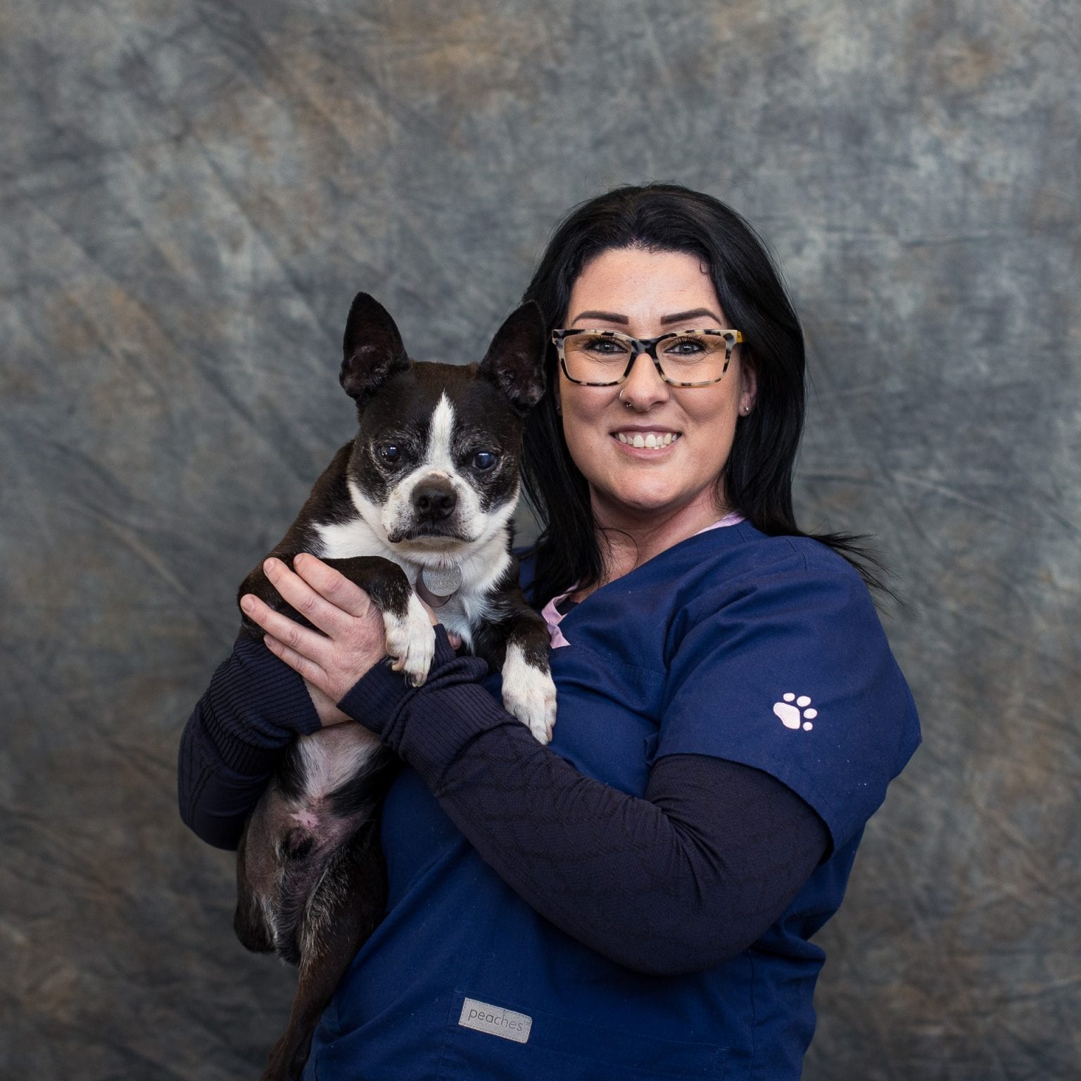 Veterinary Ophthalmologists Edmonton & Area Pulse Veterinary