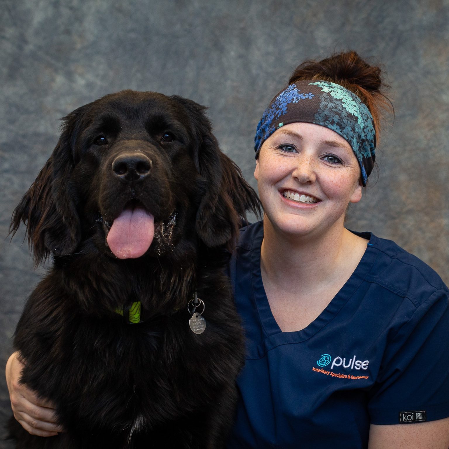 Veterinary Emergency Group Winter Park Reviews - 04cpkt1